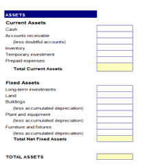 A balance sheet, highlighting the area to enter assets.